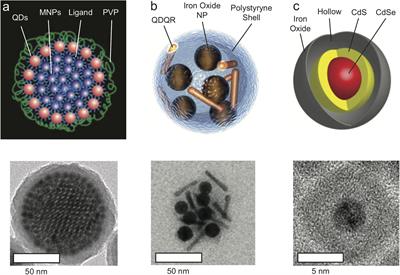 Multi-Modal Nano Particle Labeling of Neurons